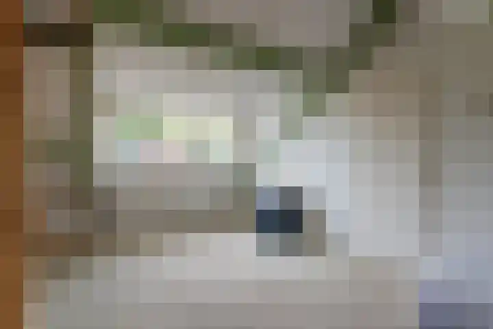Kievitlaan 12 Maartensdijk thumbnail 26