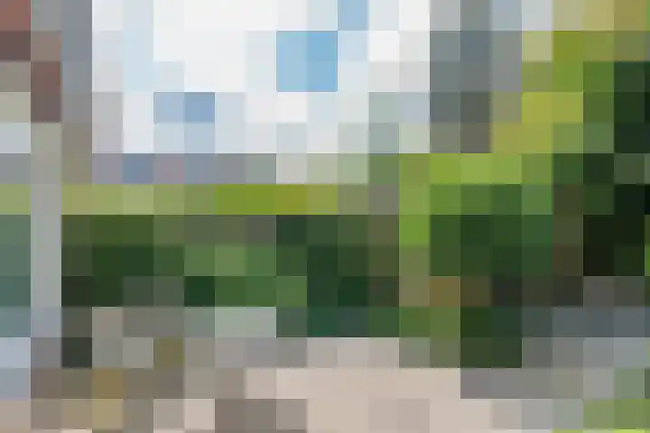 Kievitlaan 12 Maartensdijk thumbnail 30