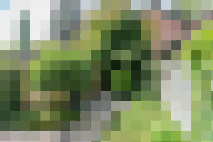 Kievitlaan 12 Maartensdijk thumbnail 31