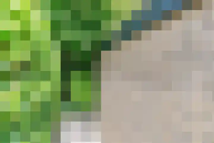 Kievitlaan 12 Maartensdijk thumbnail 32