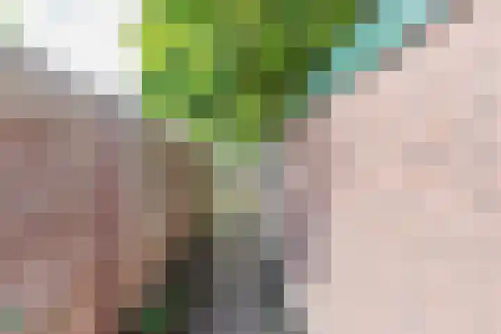 Kievitlaan 12 Maartensdijk thumbnail 33