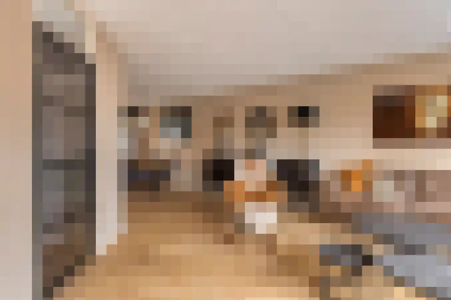Kievitlaan 12 Wieringerwaard thumbnail 12