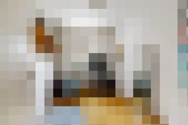 Kievitlaan 14 Boekel thumbnail 14