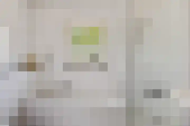 Kievitlaan 14 Boekel thumbnail 15