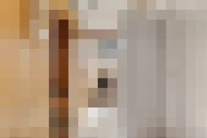 Kievitlaan 14 Boekel thumbnail 20