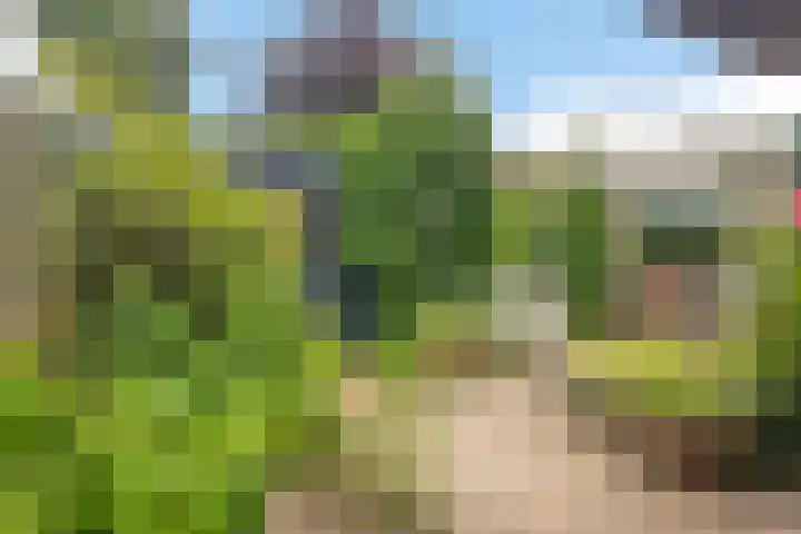 Kievitlaan 14 Boekel thumbnail 22