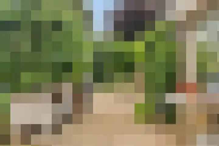 Kievitlaan 14 Boekel thumbnail 24