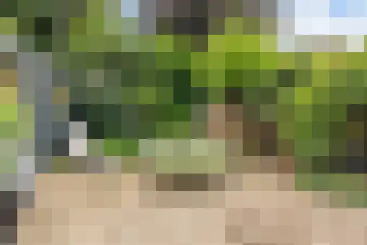 Kievitlaan 14 Boekel thumbnail 26