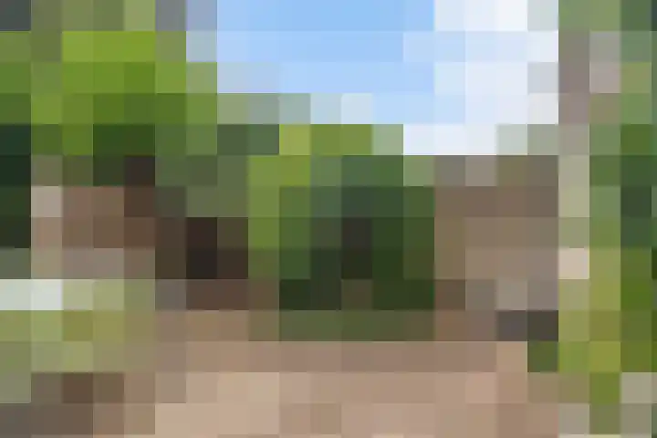 Kievitlaan 14 Boekel thumbnail 27