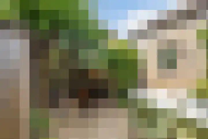 Kievitlaan 14 Boekel thumbnail 28