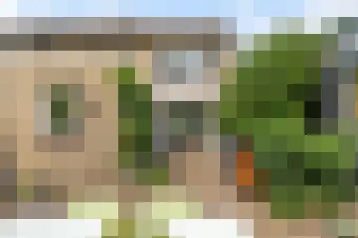 Kievitlaan 14 Boekel thumbnail 29