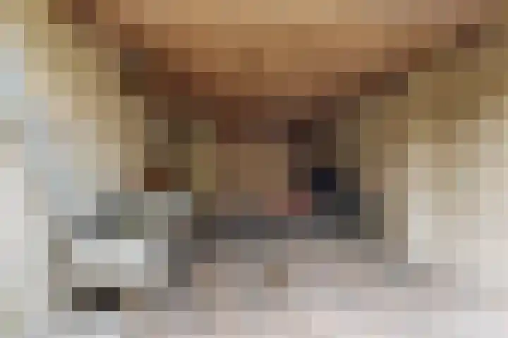 Kievitlaan 14 Boekel thumbnail 31