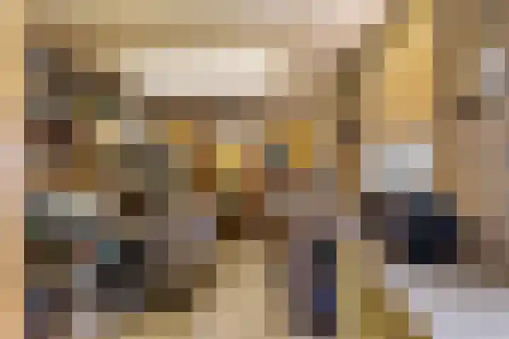 Kievitlaan 14 Boekel thumbnail 32