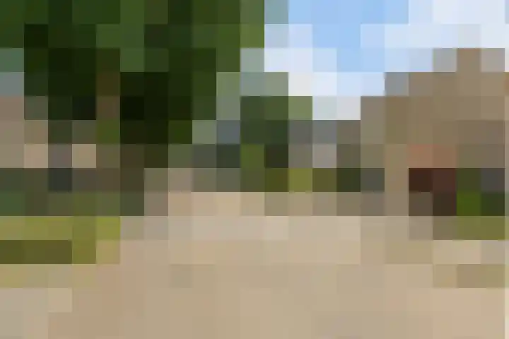 Kievitlaan 14 Boekel thumbnail 33