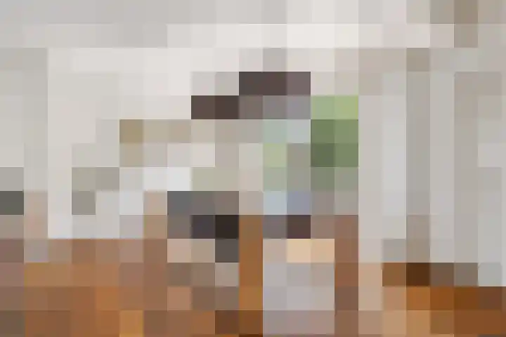 Kievitlaan 14 Boekel thumbnail 6