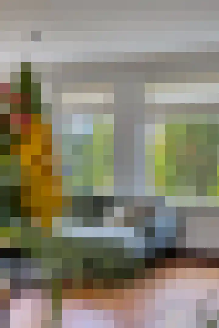Kievitlaan 14 Nieuwleusen thumbnail 12