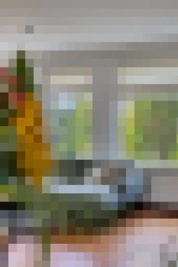 Kievitlaan 14 Nieuwleusen thumbnail 12