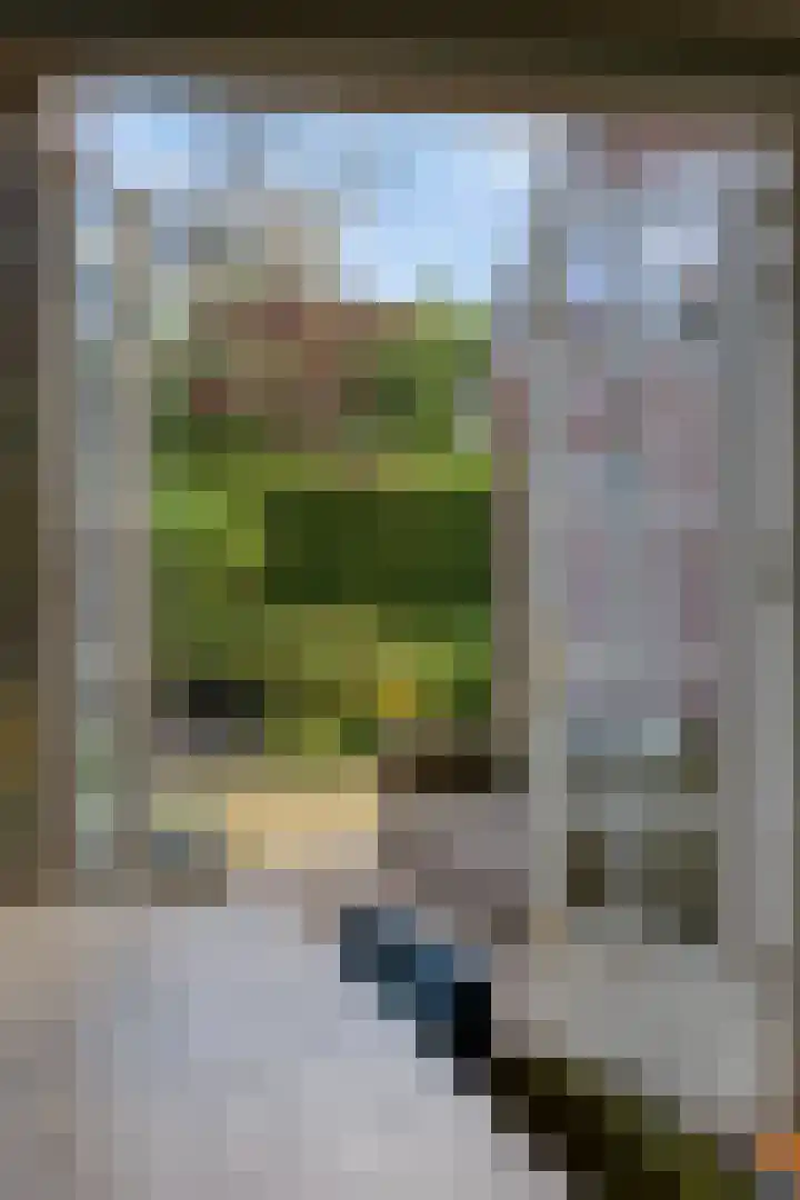 Kievitlaan 14 Nieuwleusen thumbnail 13