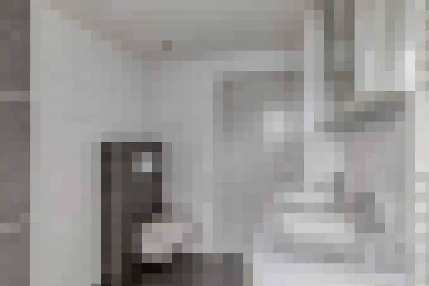 Kievitlaan 14 Nieuwleusen thumbnail 21