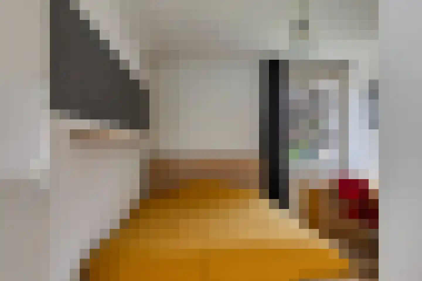 Kievitlaan 14 Nieuwleusen thumbnail 25