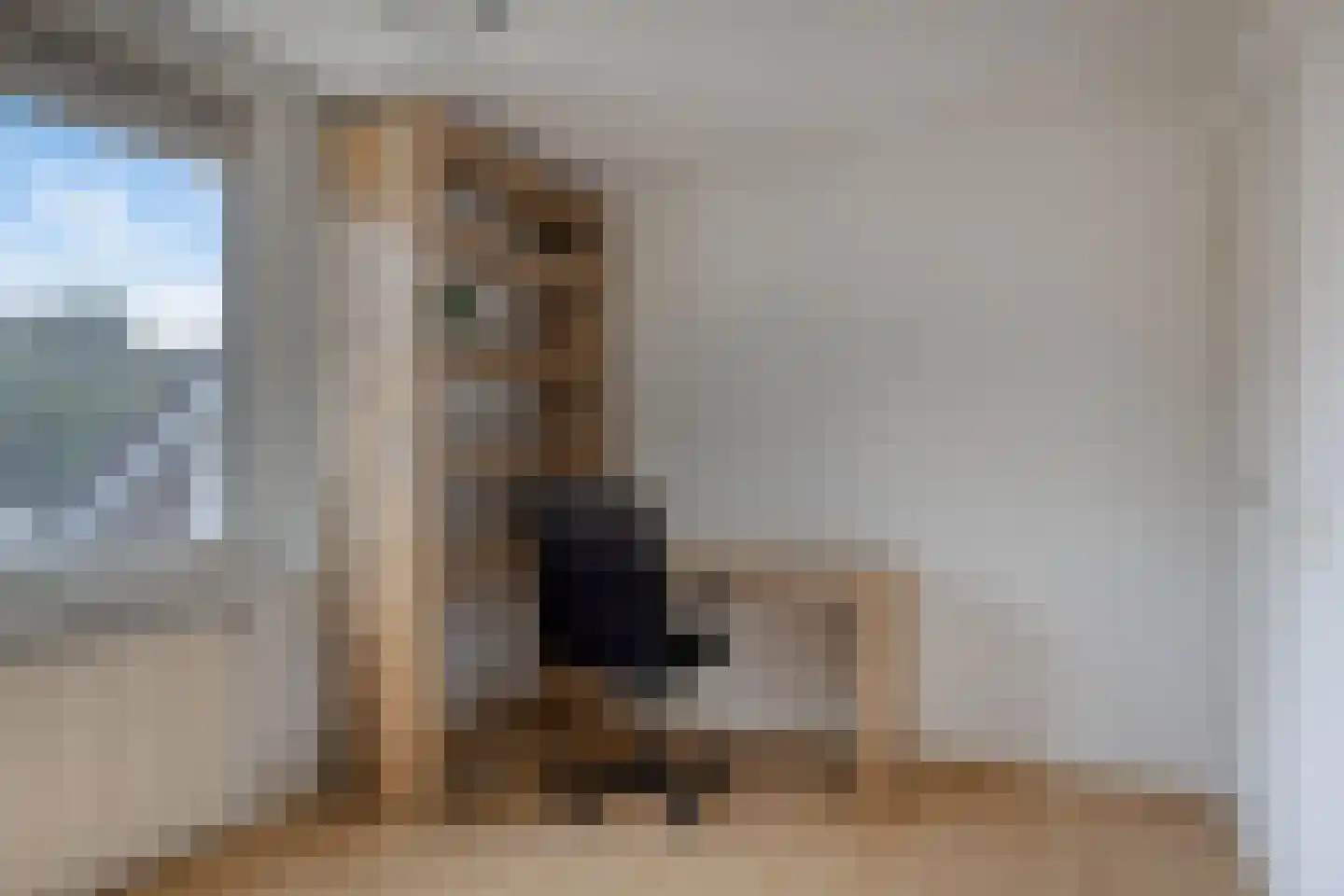Kievitlaan 14 Nieuwleusen thumbnail 27