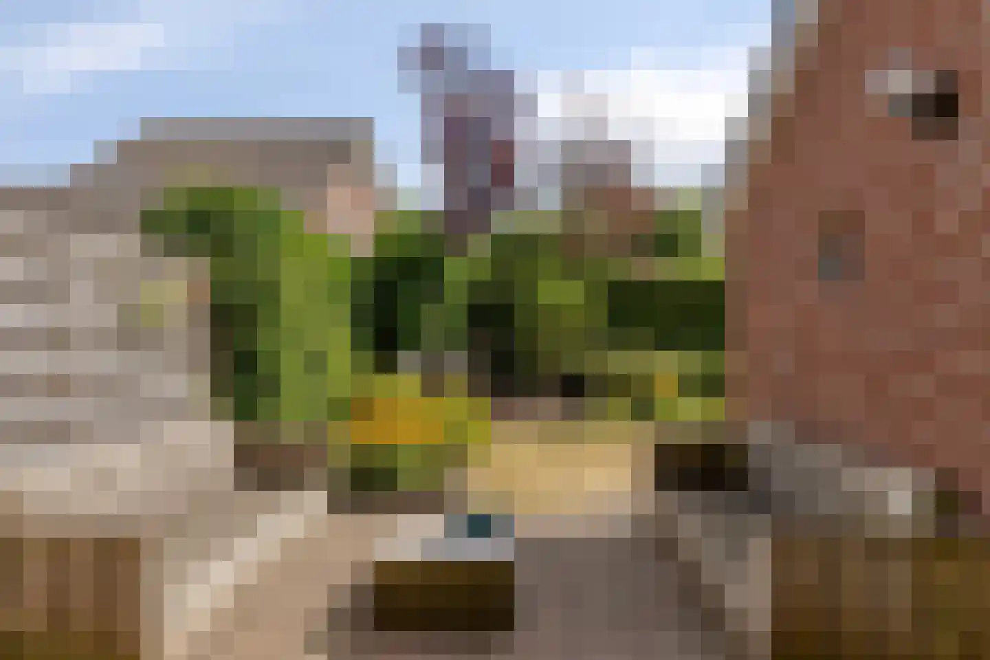 Kievitlaan 14 Nieuwleusen thumbnail 31
