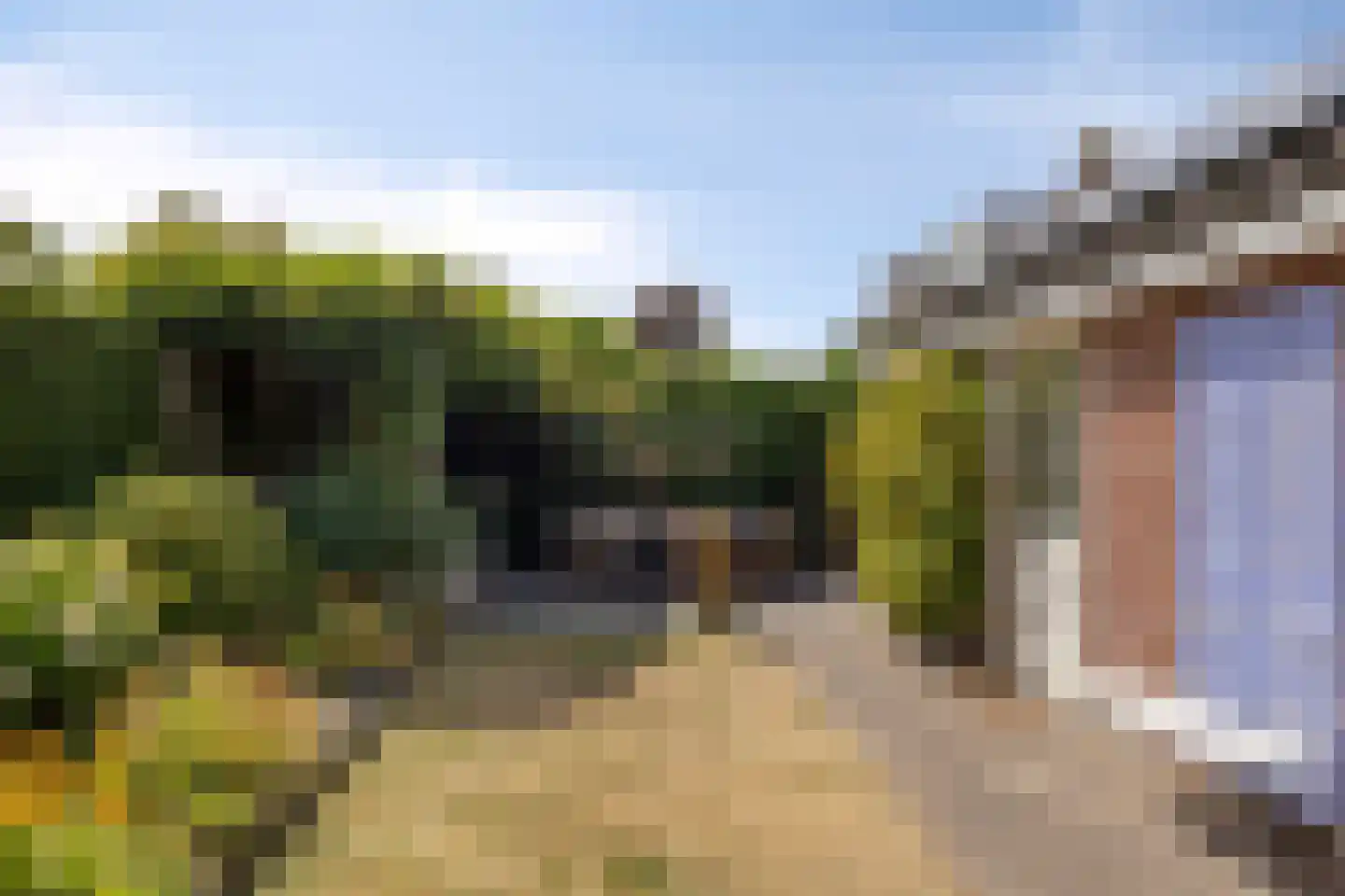 Kievitlaan 14 Nieuwleusen thumbnail 33
