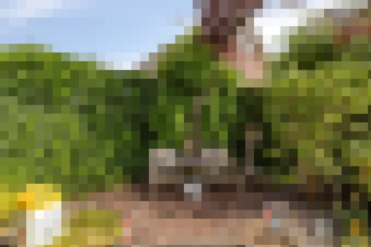 Kievitlaan 14 Nieuwleusen thumbnail 34