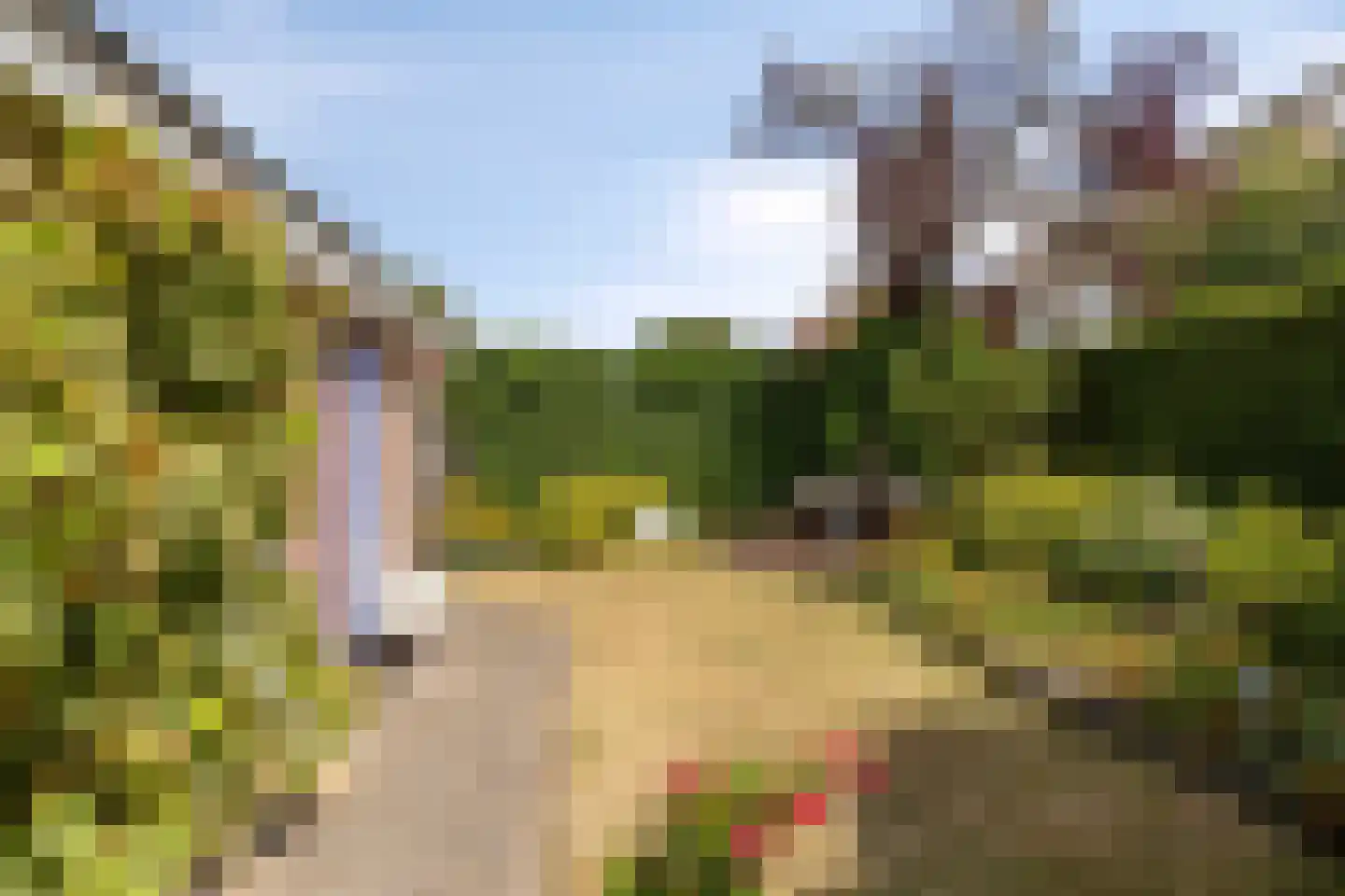 Kievitlaan 14 Nieuwleusen thumbnail 35