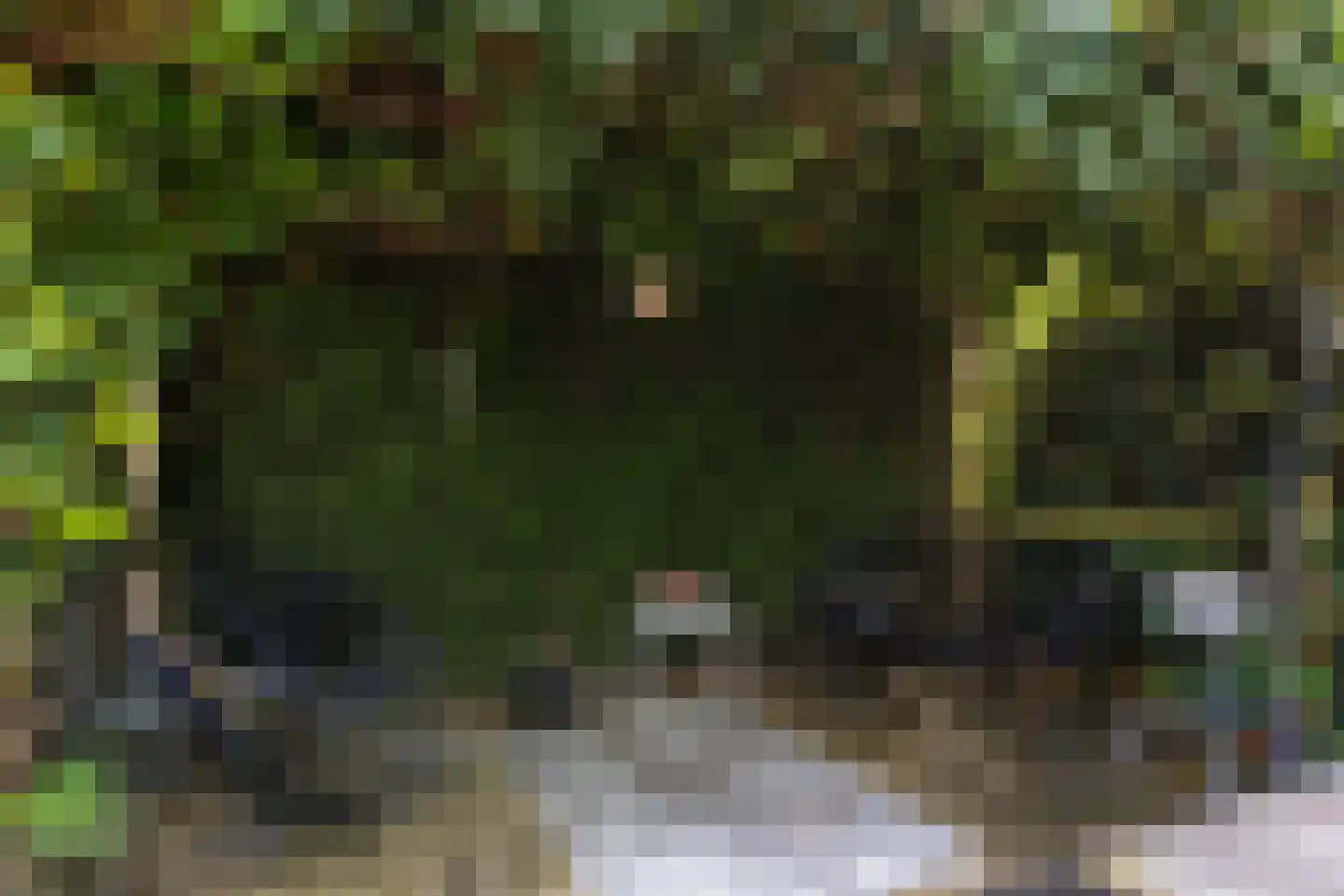 Kievitlaan 14 Nieuwleusen thumbnail 36