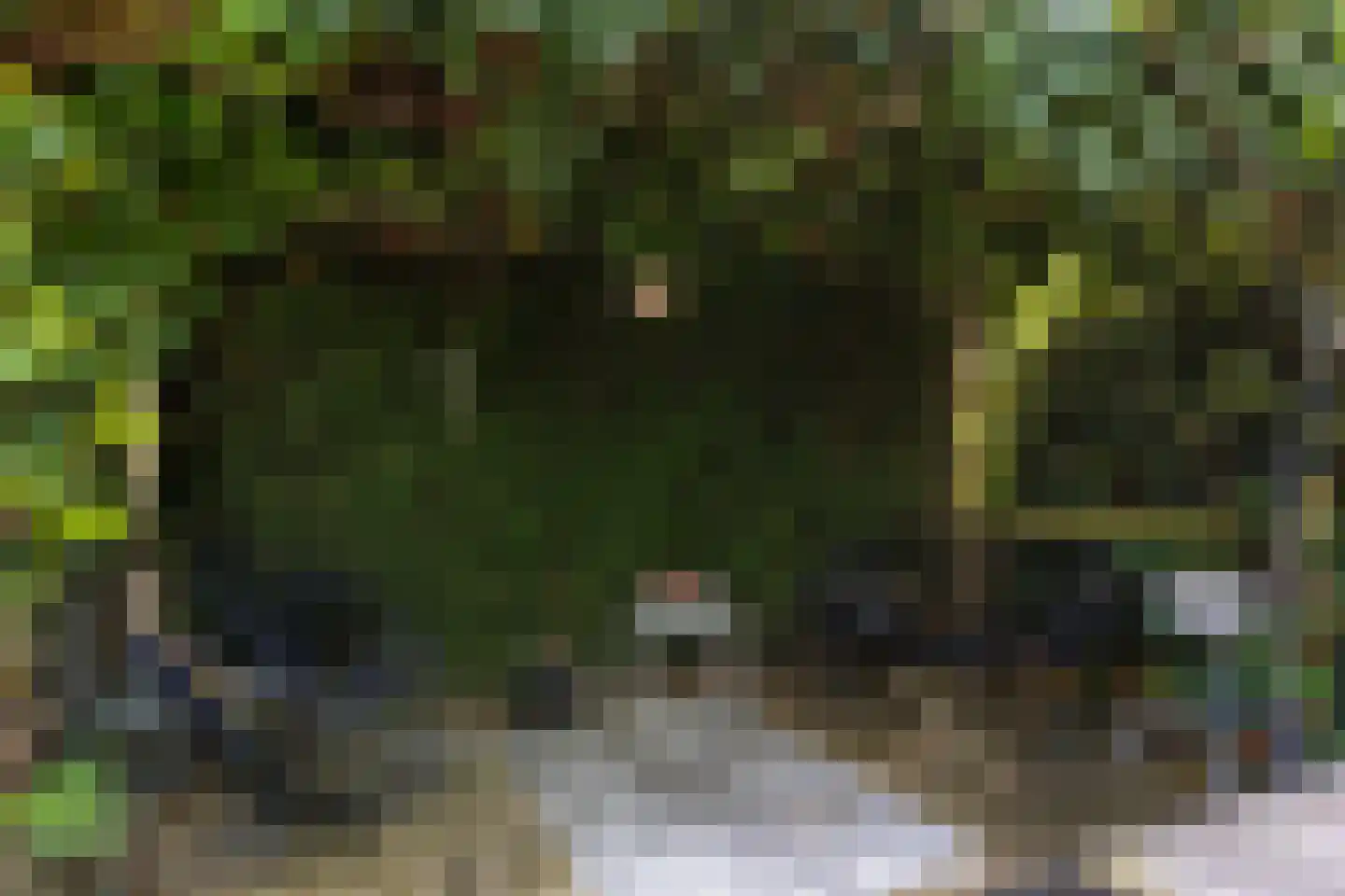 Kievitlaan 14 Nieuwleusen thumbnail 36