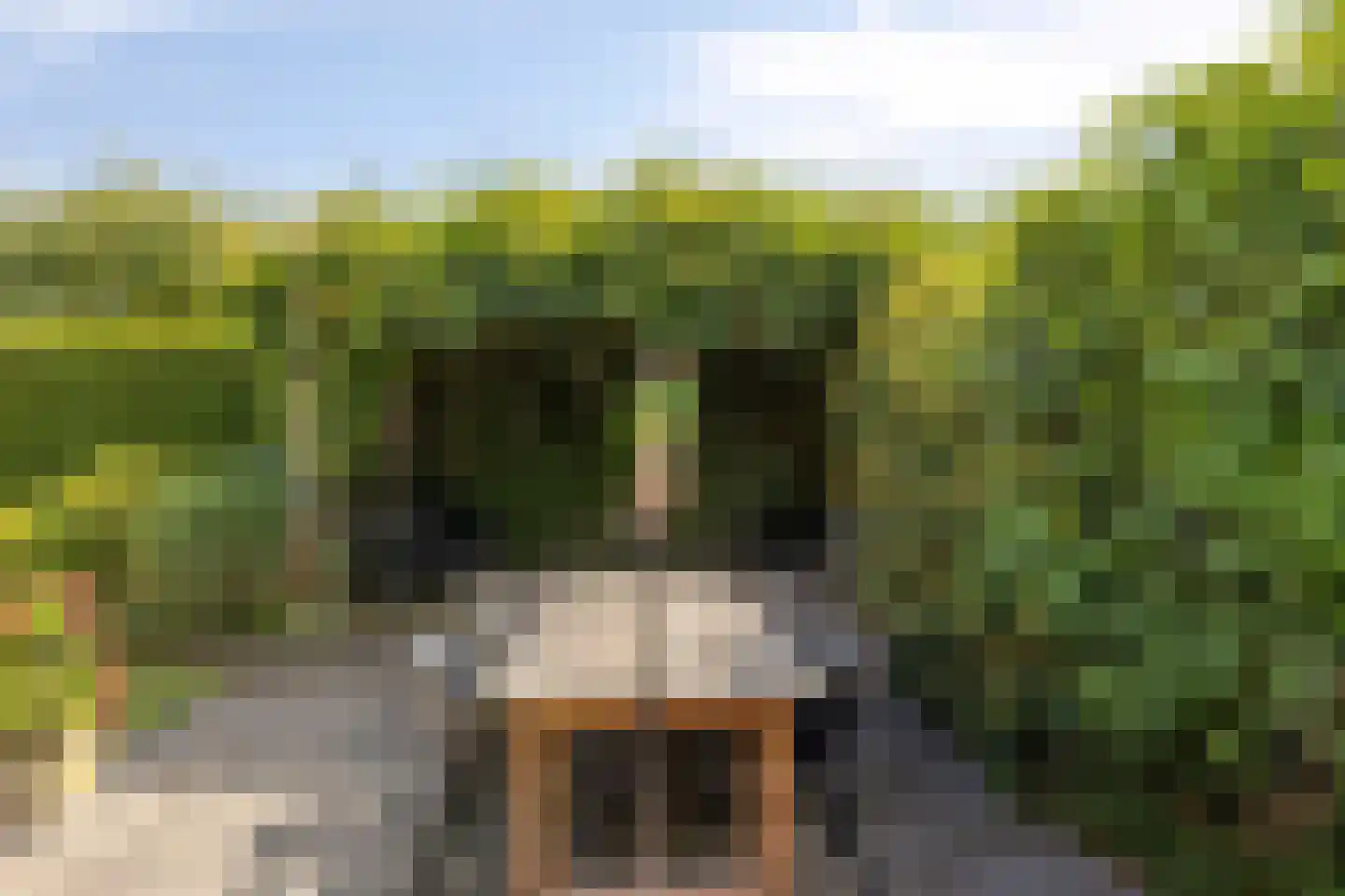 Kievitlaan 14 Nieuwleusen thumbnail 37