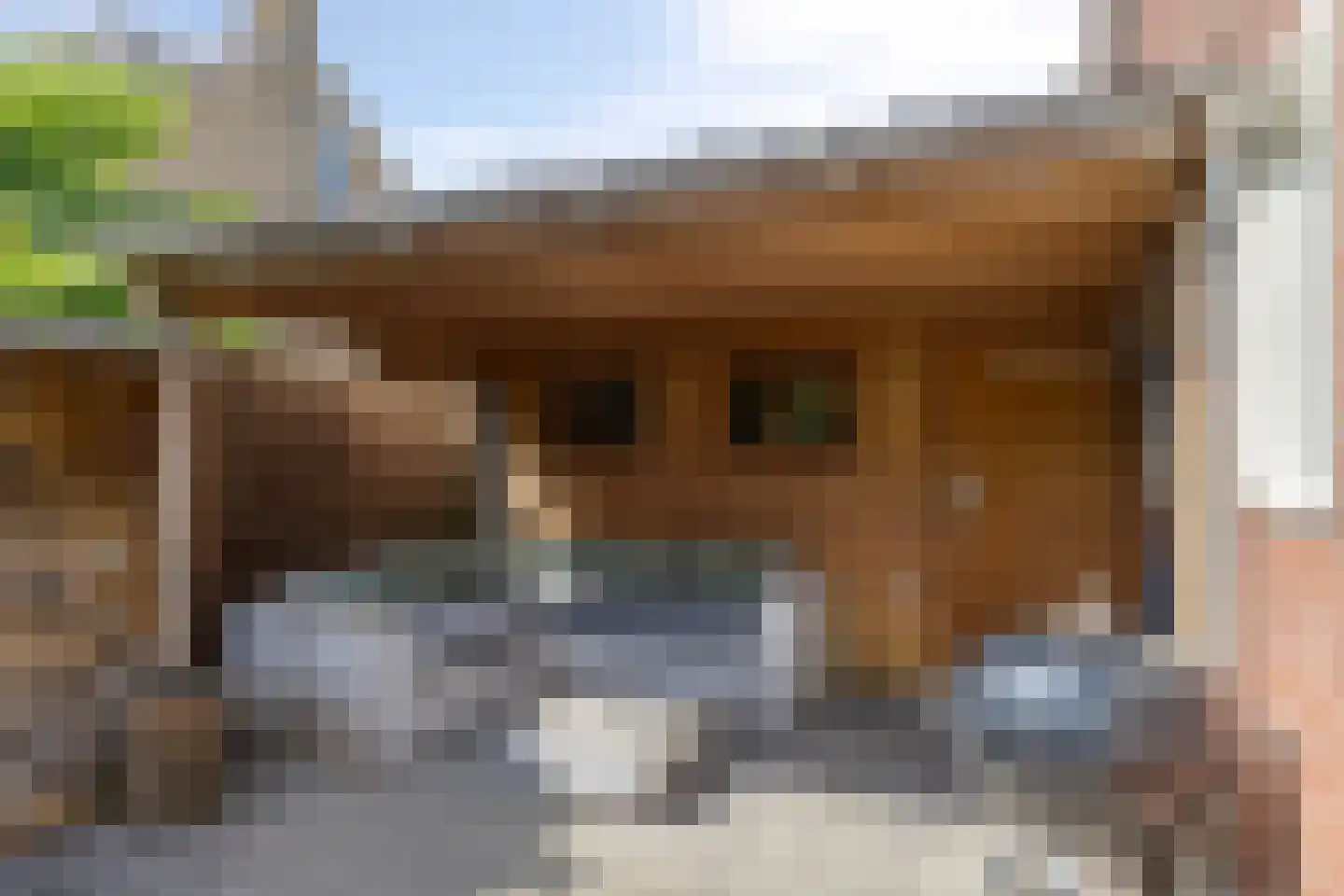 Kievitlaan 14 Nieuwleusen thumbnail 38