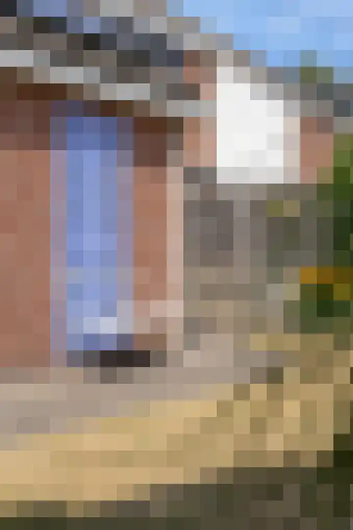 Kievitlaan 14 Nieuwleusen thumbnail 39