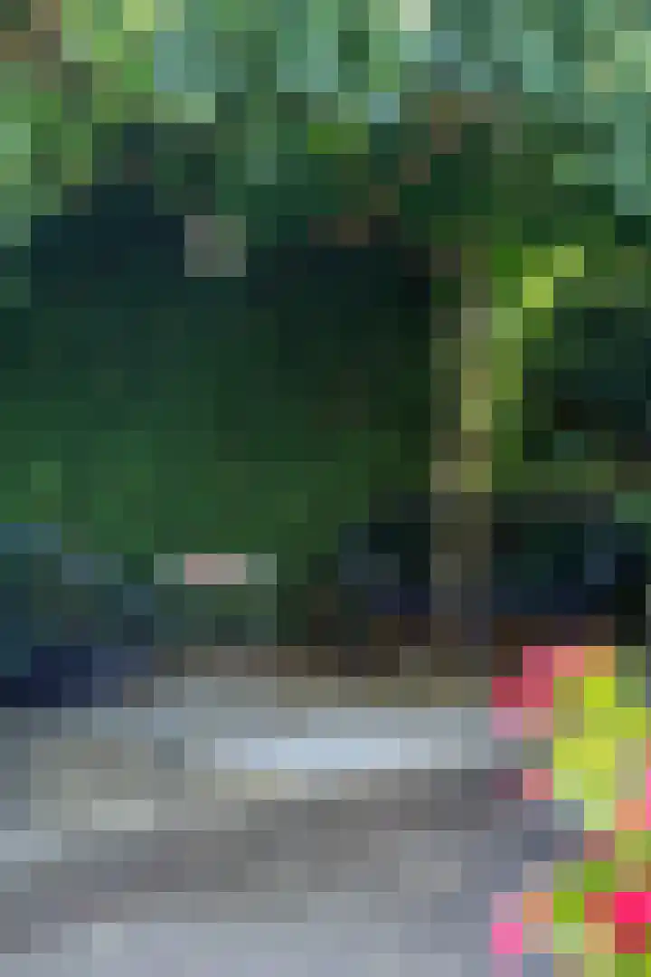 Kievitlaan 14 Nieuwleusen thumbnail 40