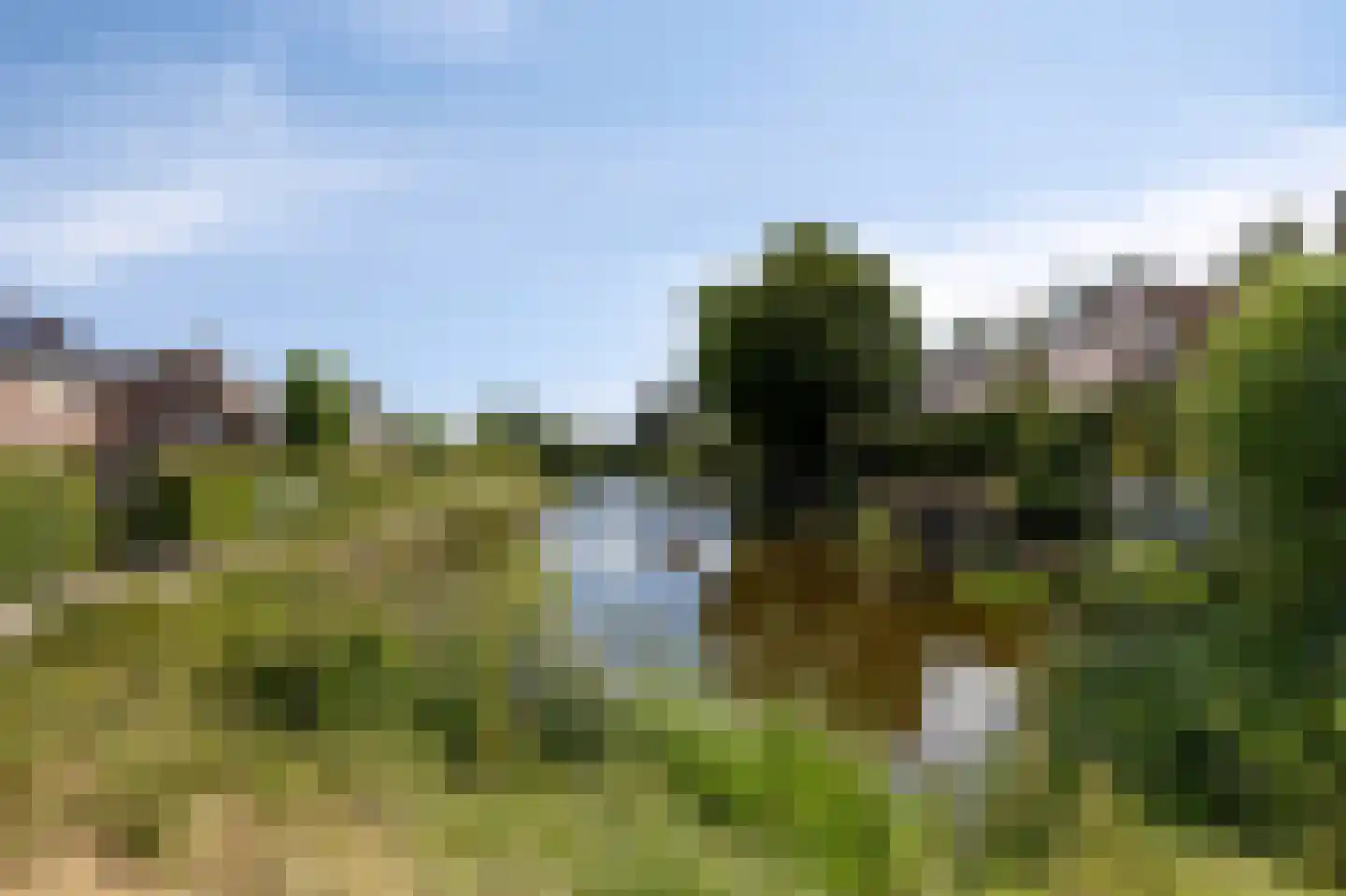 Kievitlaan 14 Nieuwleusen thumbnail 42