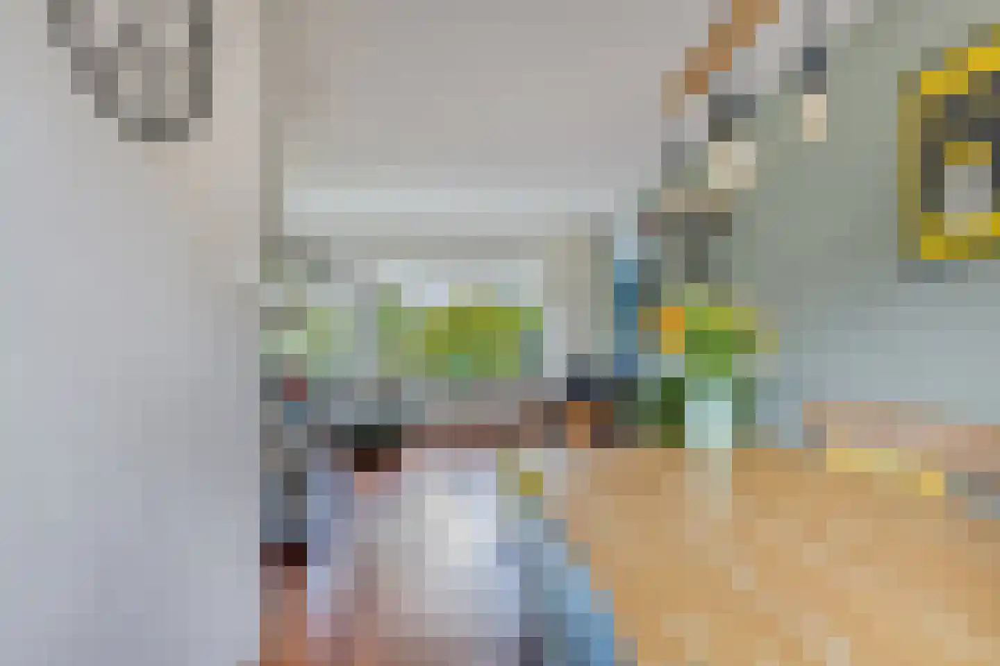 Kievitlaan 14 Nieuwleusen thumbnail 7