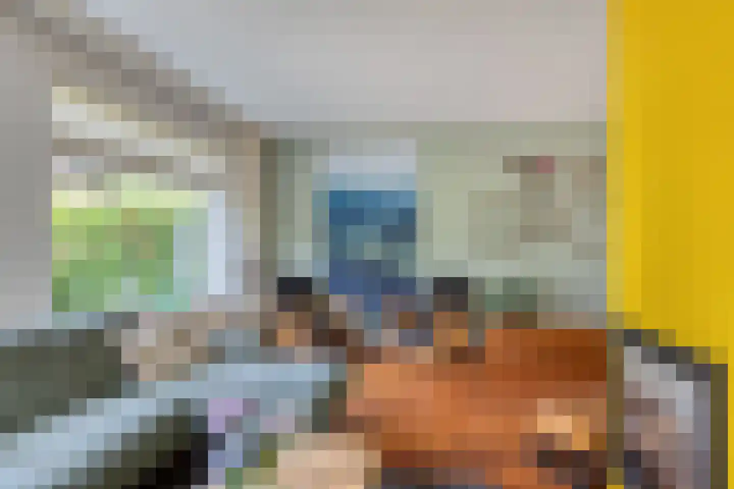 Kievitlaan 14 Nieuwleusen thumbnail 9