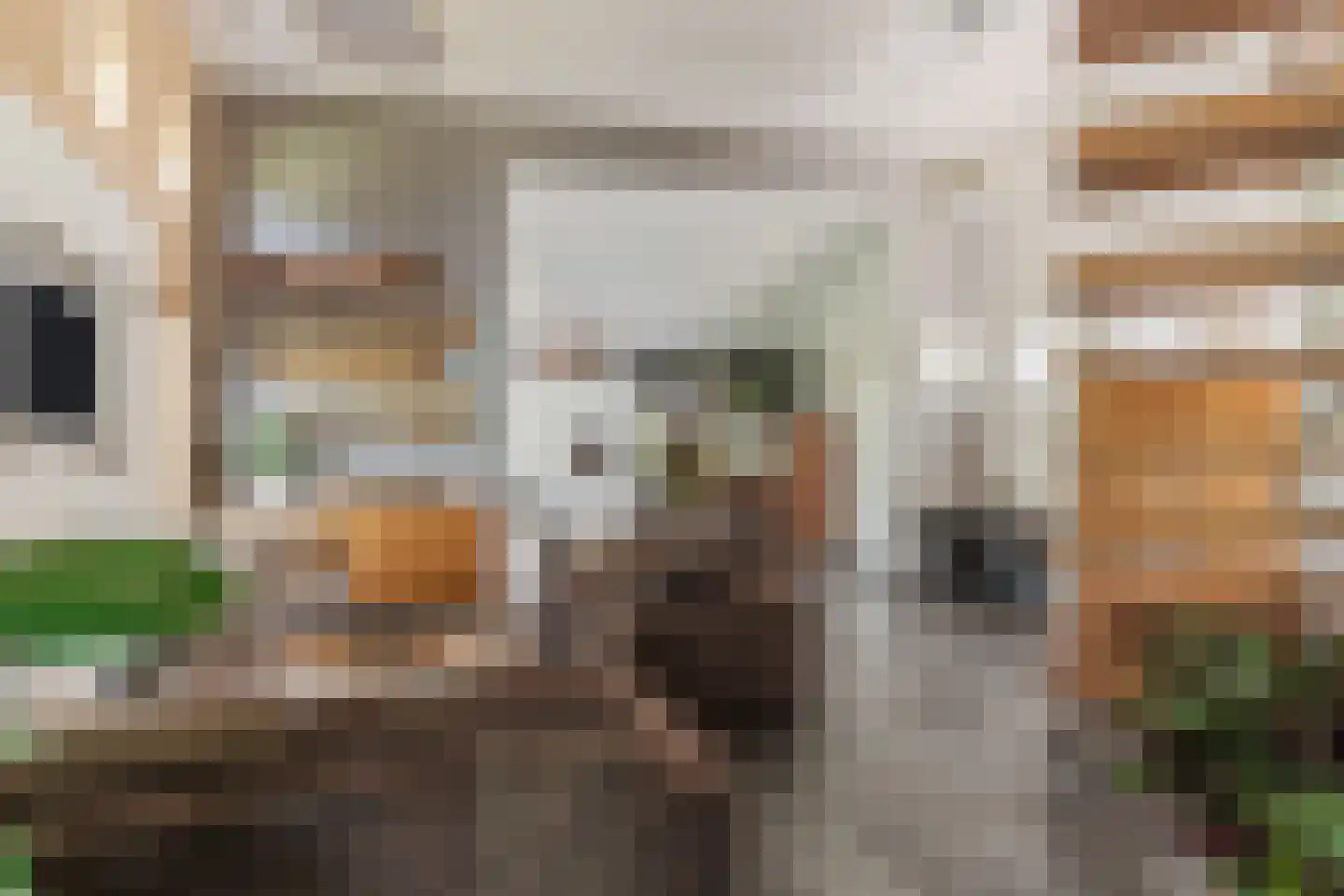 Kievitlaan 14 Riethoven thumbnail 12