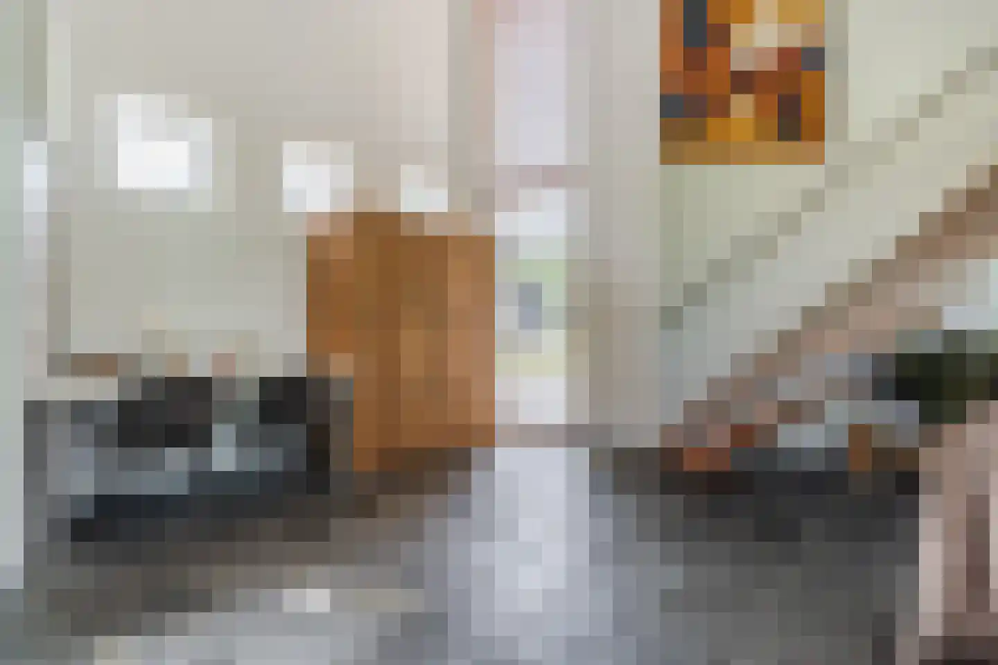 Kievitlaan 14 Riethoven thumbnail 13