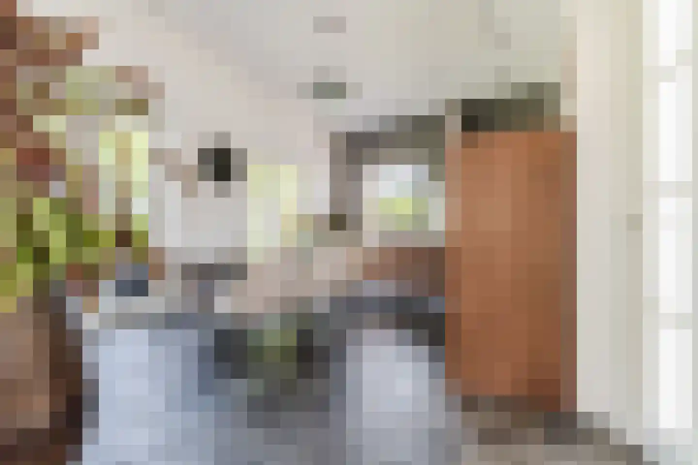 Kievitlaan 14 Riethoven thumbnail 14