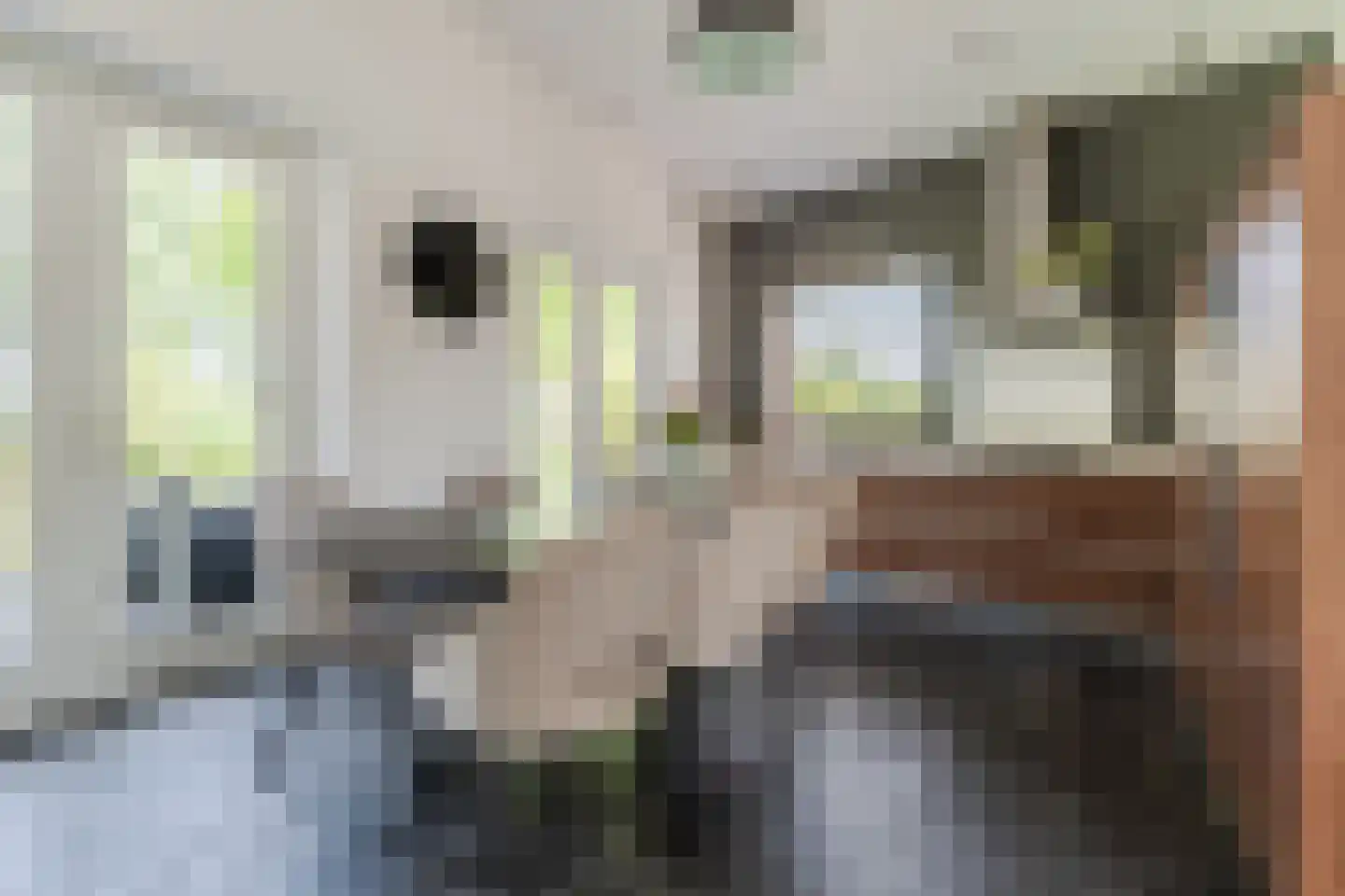 Kievitlaan 14 Riethoven thumbnail 15