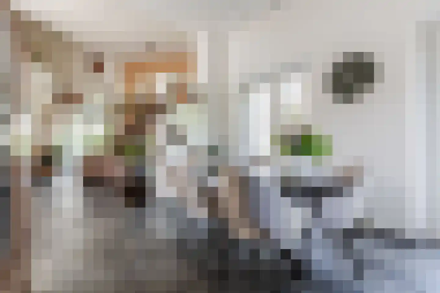 Kievitlaan 14 Riethoven thumbnail 17