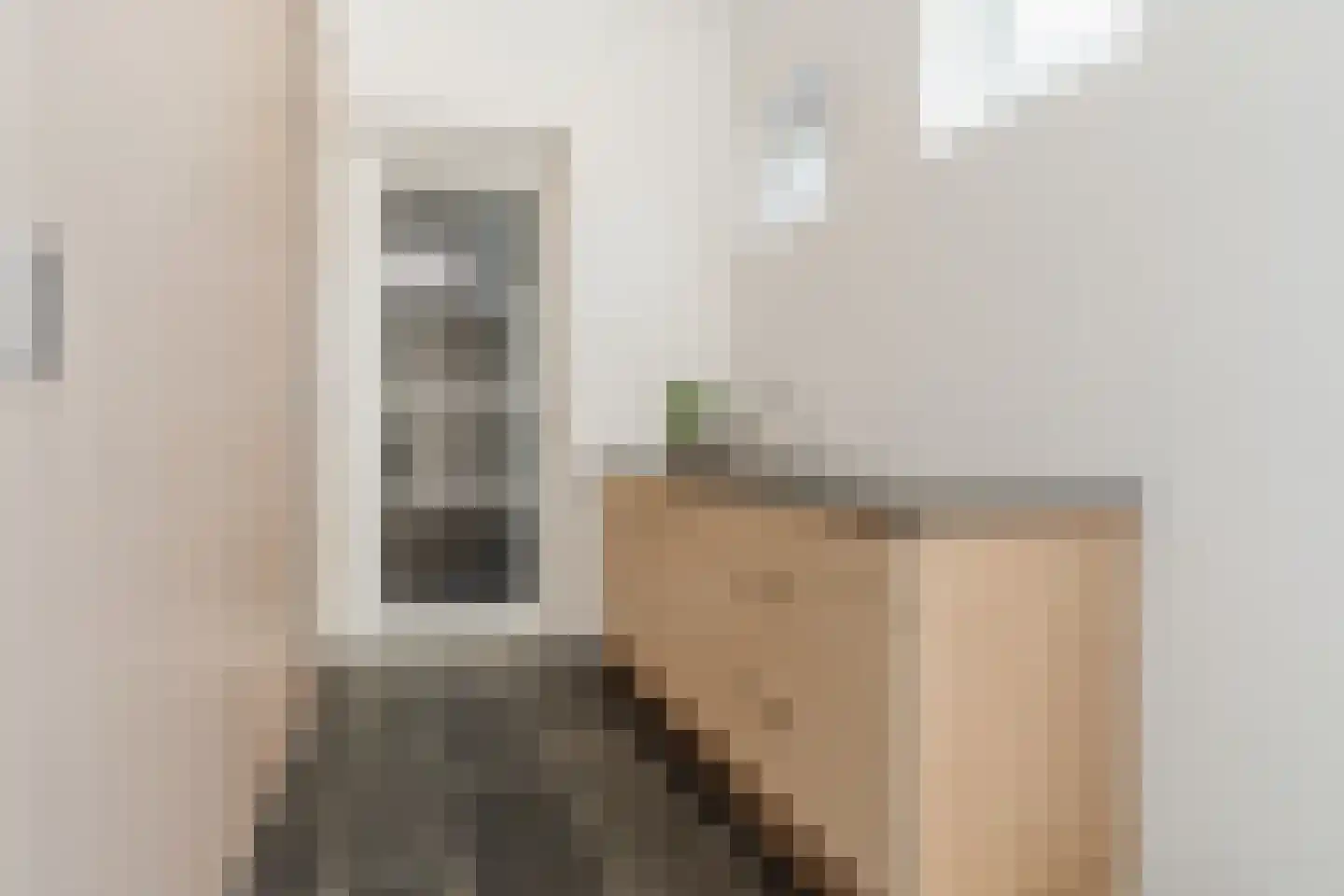 Kievitlaan 14 Riethoven thumbnail 19