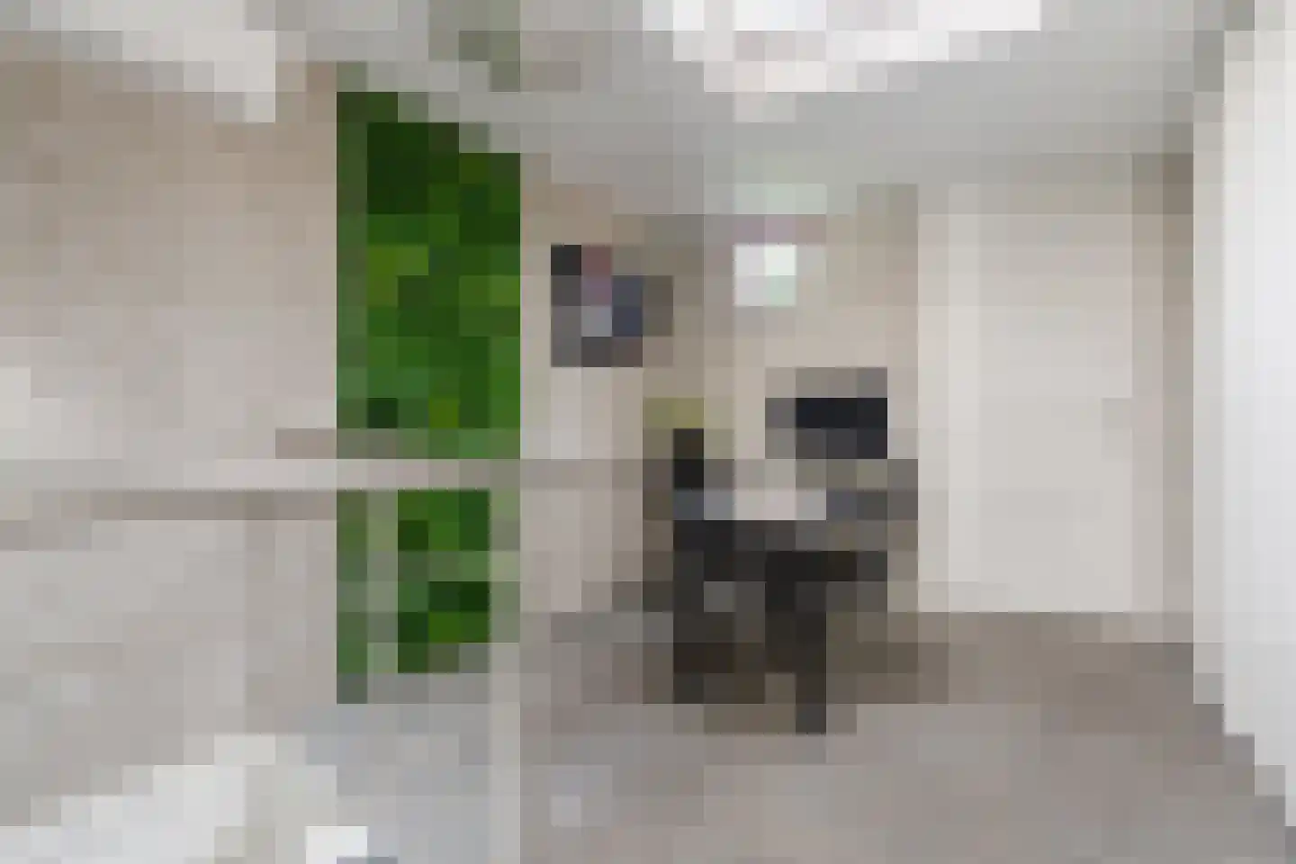 Kievitlaan 14 Riethoven thumbnail 22