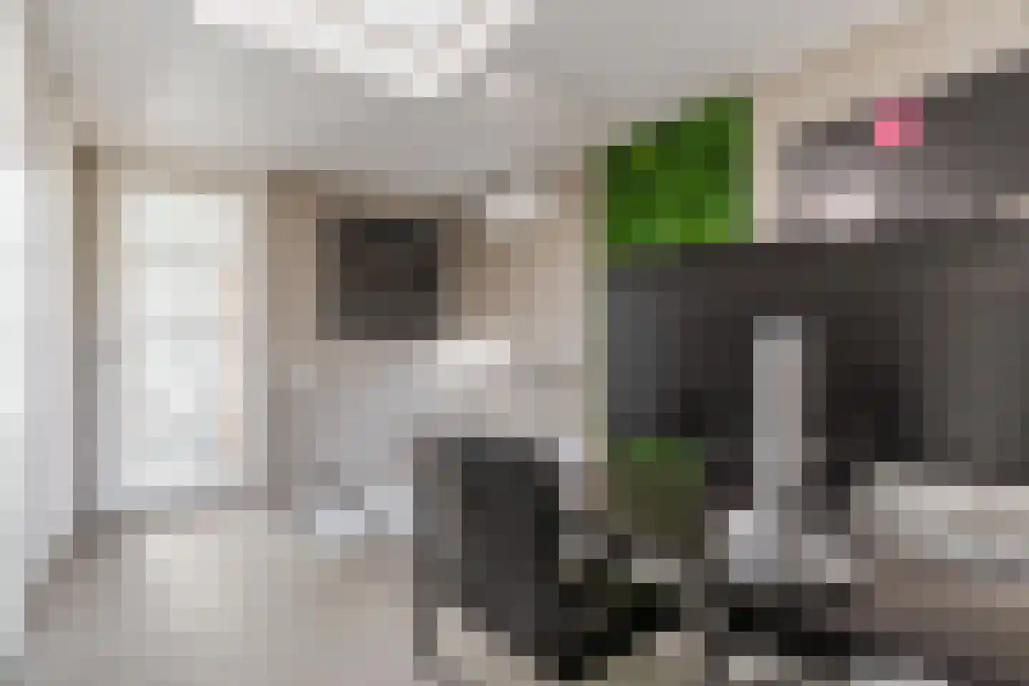 Kievitlaan 14 Riethoven thumbnail 23
