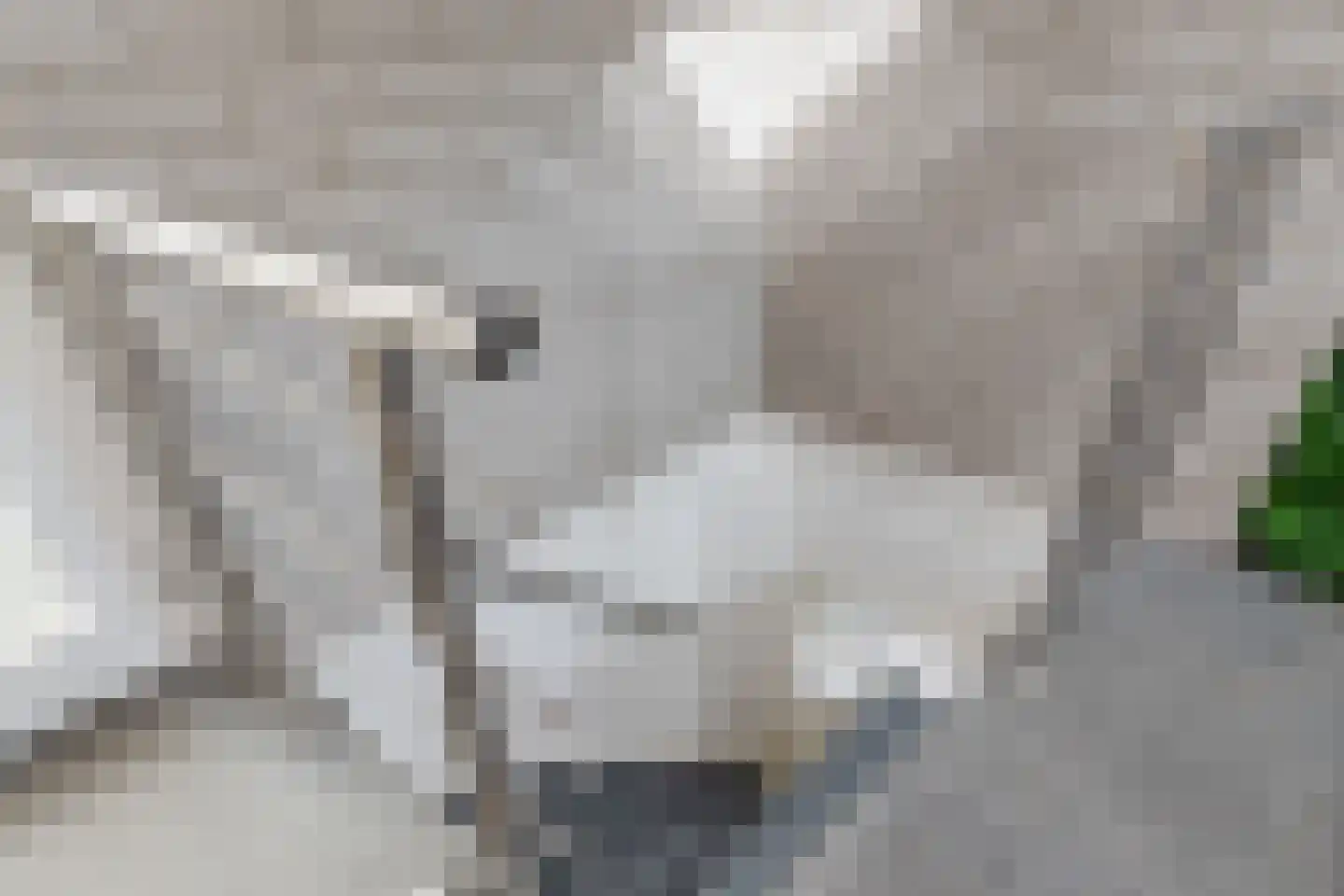 Kievitlaan 14 Riethoven thumbnail 24