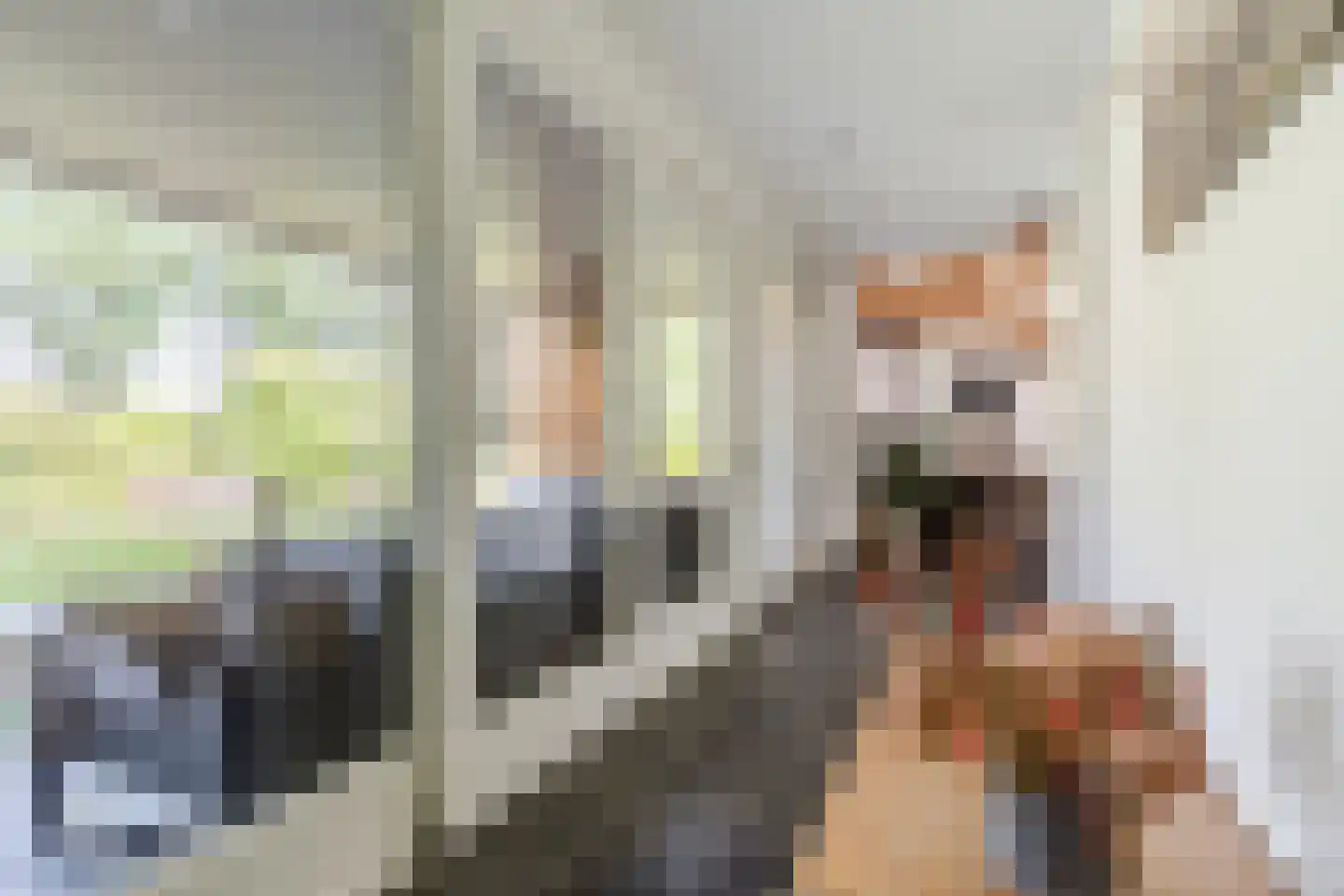 Kievitlaan 14 Riethoven thumbnail 26