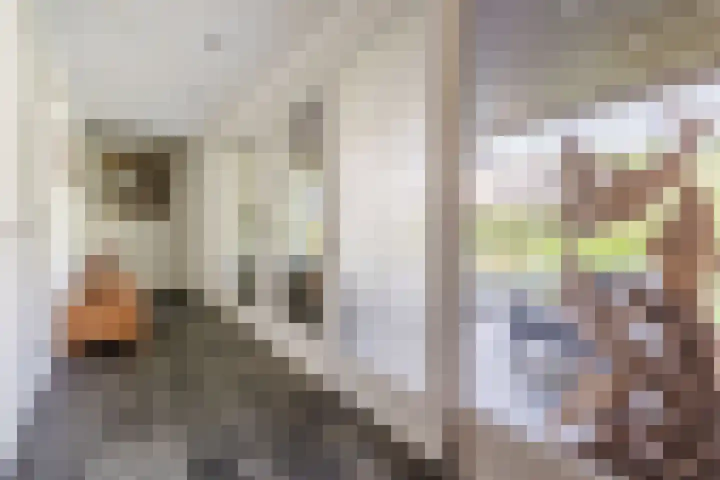Kievitlaan 14 Riethoven thumbnail 27