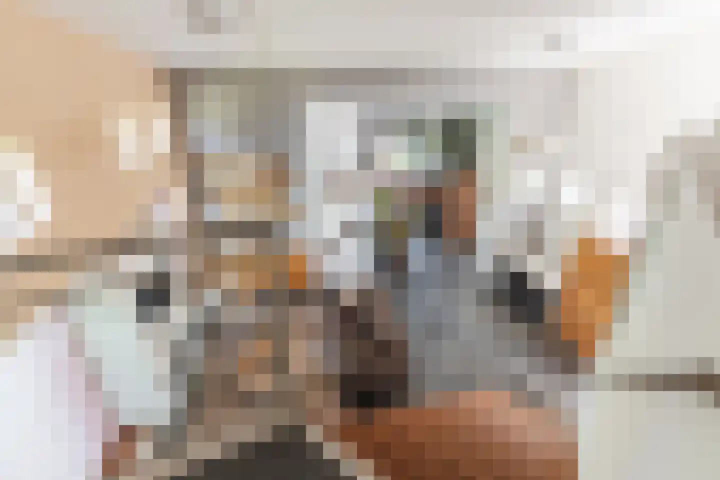 Kievitlaan 14 Riethoven thumbnail 34
